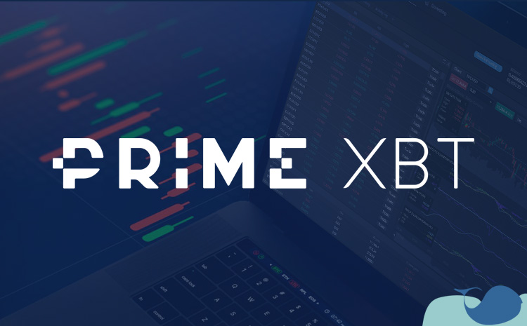 Maximize Your Trading Potential with PrimeXBT Promo Codes Maximize Your Trading Potential with PrimeXBT Promo Codes