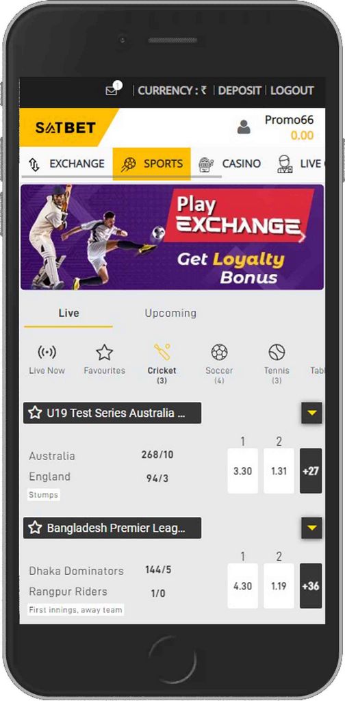 Satbet Sports Betting and Exchange Website in India